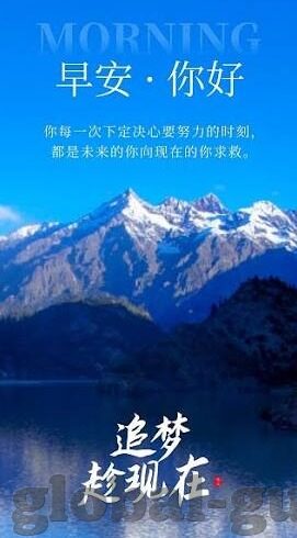 5g视频年龄大象-5G时代下的大象与视频，重塑年龄的边界
