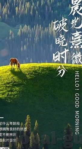国产91麻豆电影在线看-守法观影，倡导健康观影，远离非法内容