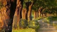 精品人妻一区二区三区四区在线-精品人妻，探索网络世界的多元魅力