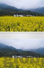 麻豆一区二区三区av-网络世界与文化审美的细流，从麻豆一区、二区、三区的探讨谈起